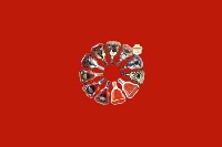 舟山市定海区回收红酒